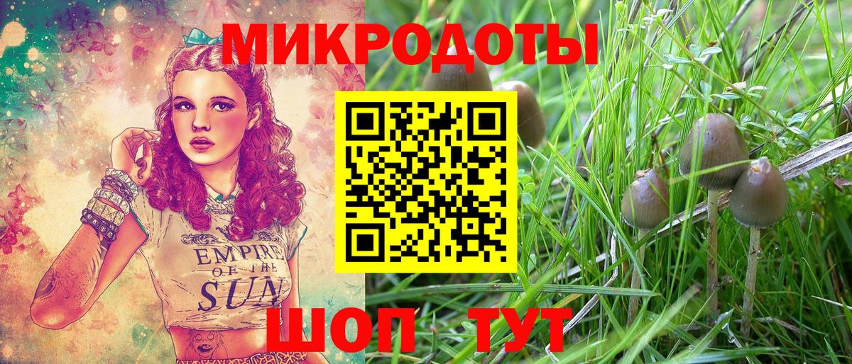 Галлюциногенные грибы прущие грибы Лесозаводск